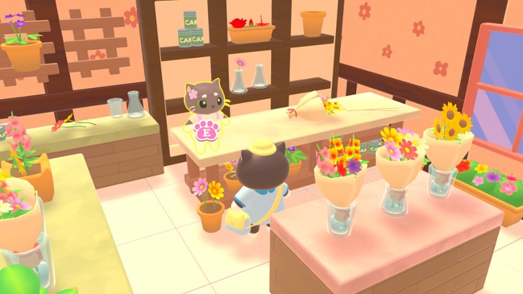 Catto's Post Office screenshot