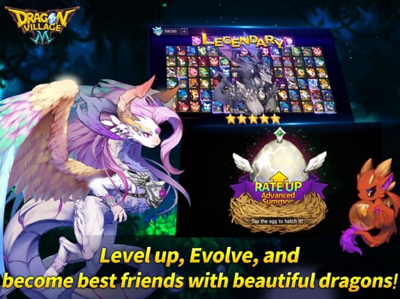 Dragon Village M Image