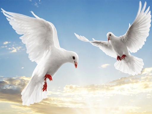 Games like Flying Birds Slide