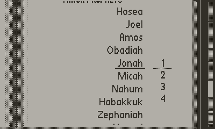 Bible Reader Image