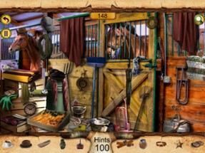 Hidden Objects : The Cow Boy Image