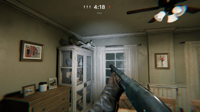 Hollow Hide Image