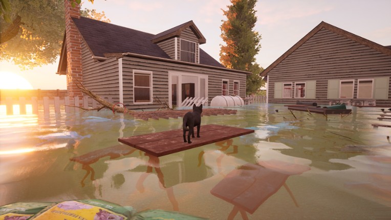 Ninja Cats screenshot