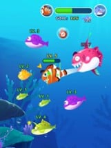 Ocean Fish Evolution Image