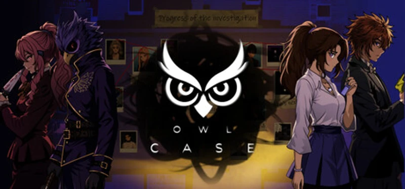 Owl Case Image