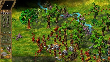 The Settlers IV Image