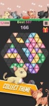 Triangle Candy - Block Puzzle Image