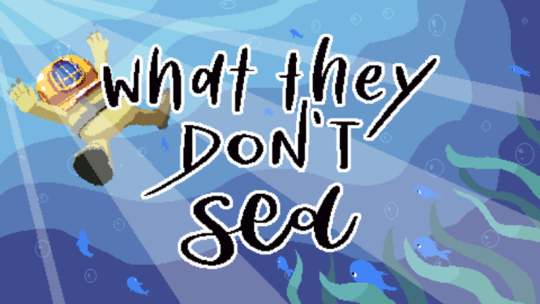 What They Don't Sea Game Cover