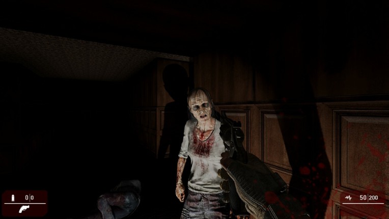 ASZG Project screenshot