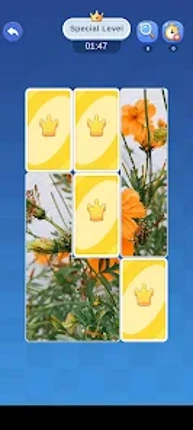 Memory Flip: Beauty Mosaic Image