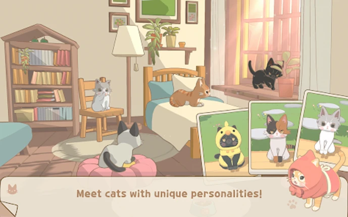 Window Meow Image