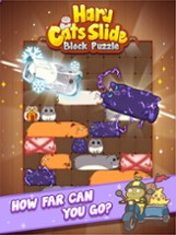 Haru Cats® Cute Sliding Puzzle Image