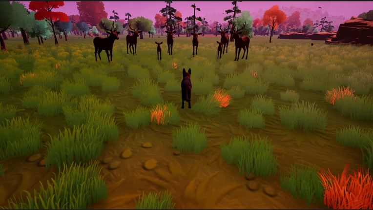 Left In The Forest Image