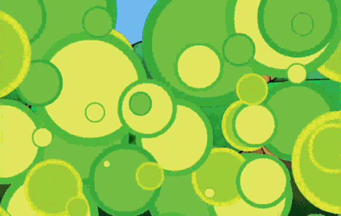 Shells and Carrots Image