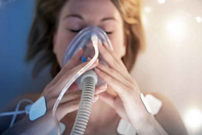 Archive 2019 screenshot