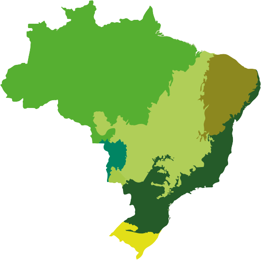 Games like Jogo da Memória - Biomas do Brasil