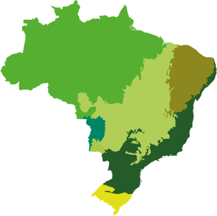 Jogo da Memória - Biomas do Brasil Image