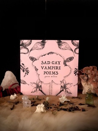 SAD GAY VAMPIRE POEMS screenshot