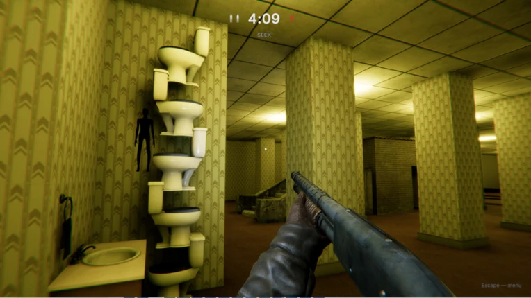 Hollow Hide Image