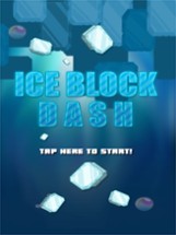 Ice Block Dash - Get Fishes Image