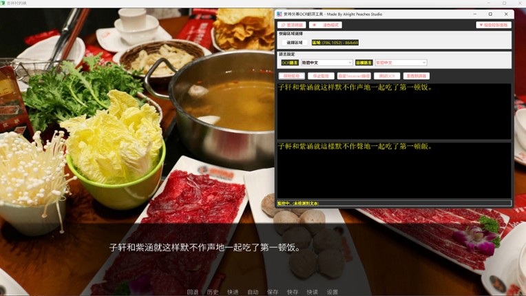 Realtime Screen OCR Translator screenshot