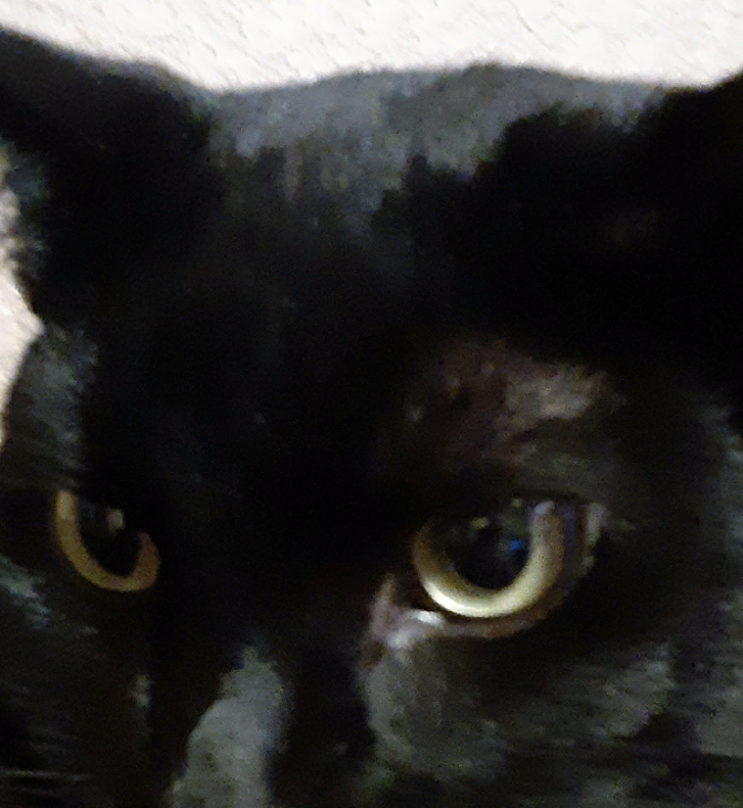 Games like Word Fall