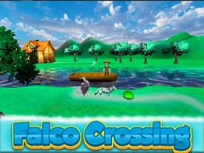 FalcoCrossing Image