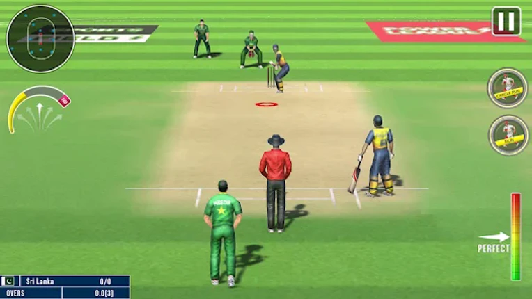 World Champion 3D Cricket Game Image