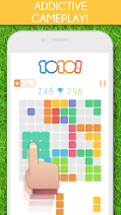 1010! Block Puzzle Game Image