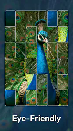 Jigmatch - Zen Puzzle screenshot