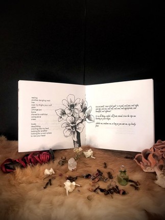 SAD GAY VAMPIRE POEMS Image