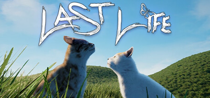 Last Life Image