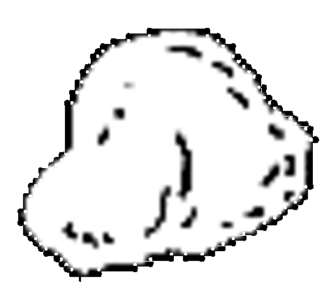 NovaBloom screenshot