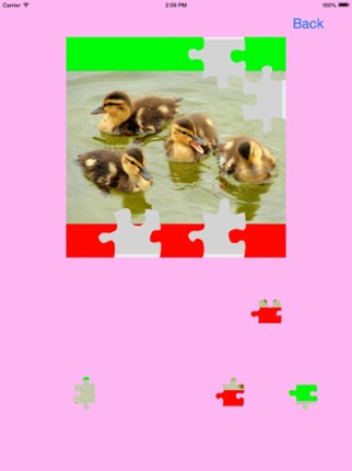 Ducklings, Goslings Jigsaw Puzzles screenshot