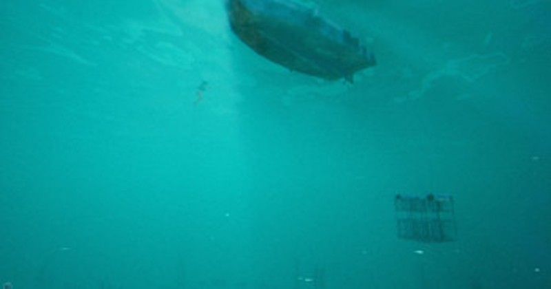47 METERS BELOW screenshot