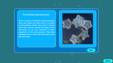 Micro Algae Discovery Image