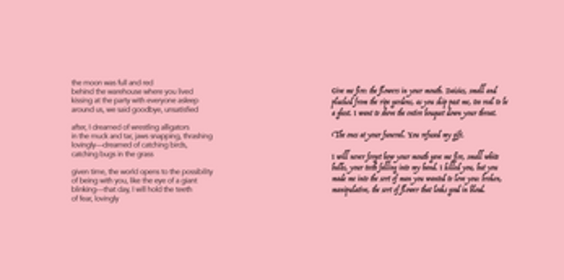 SAD GAY VAMPIRE POEMS Image