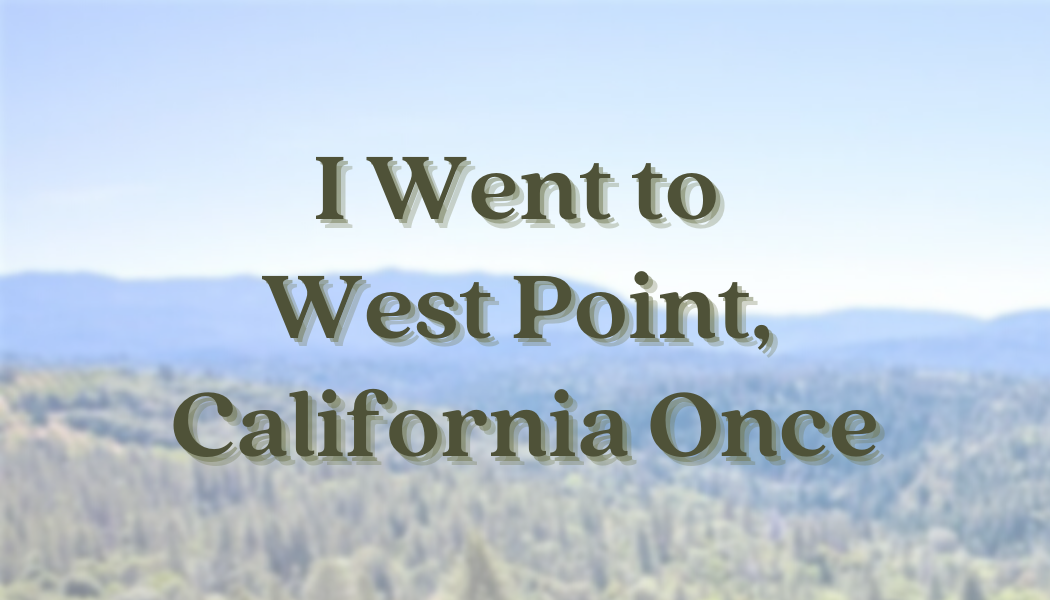 Games like I Went to West Point, California Once