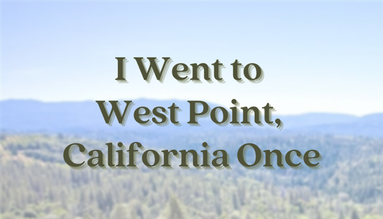 I Went to West Point, California Once Game Cover