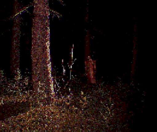 Job Description screenshot