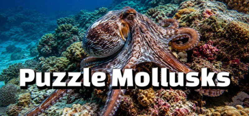 Puzzle Mollusks Image