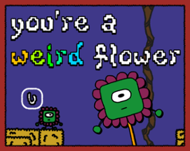 you're a weird flower Image