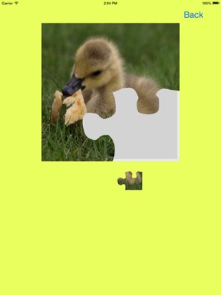 Ducklings, Goslings Jigsaw Puzzles screenshot