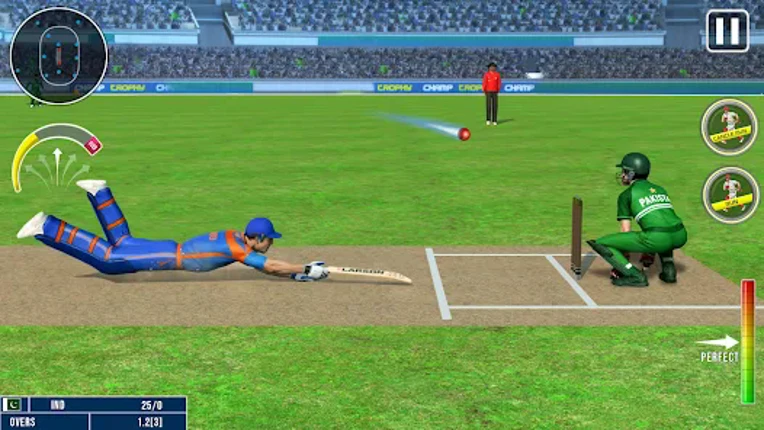 World Champion 3D Cricket Game screenshot