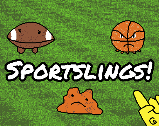 Sportslings Image