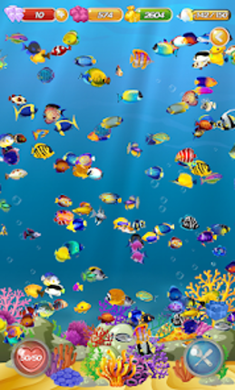 Fish Raising - My Aquarium Image