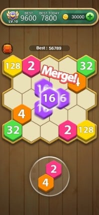Hexa Number Puzzle screenshot