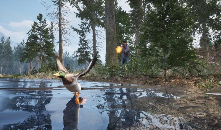 Online: 404 screenshot