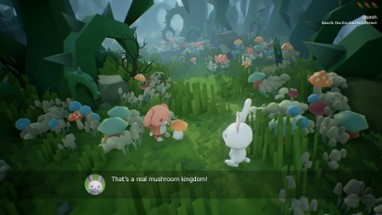 Rabbit Story Image