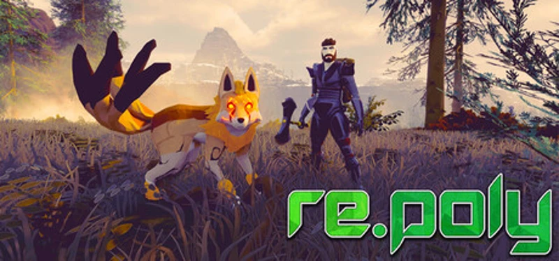 Re.poly Image